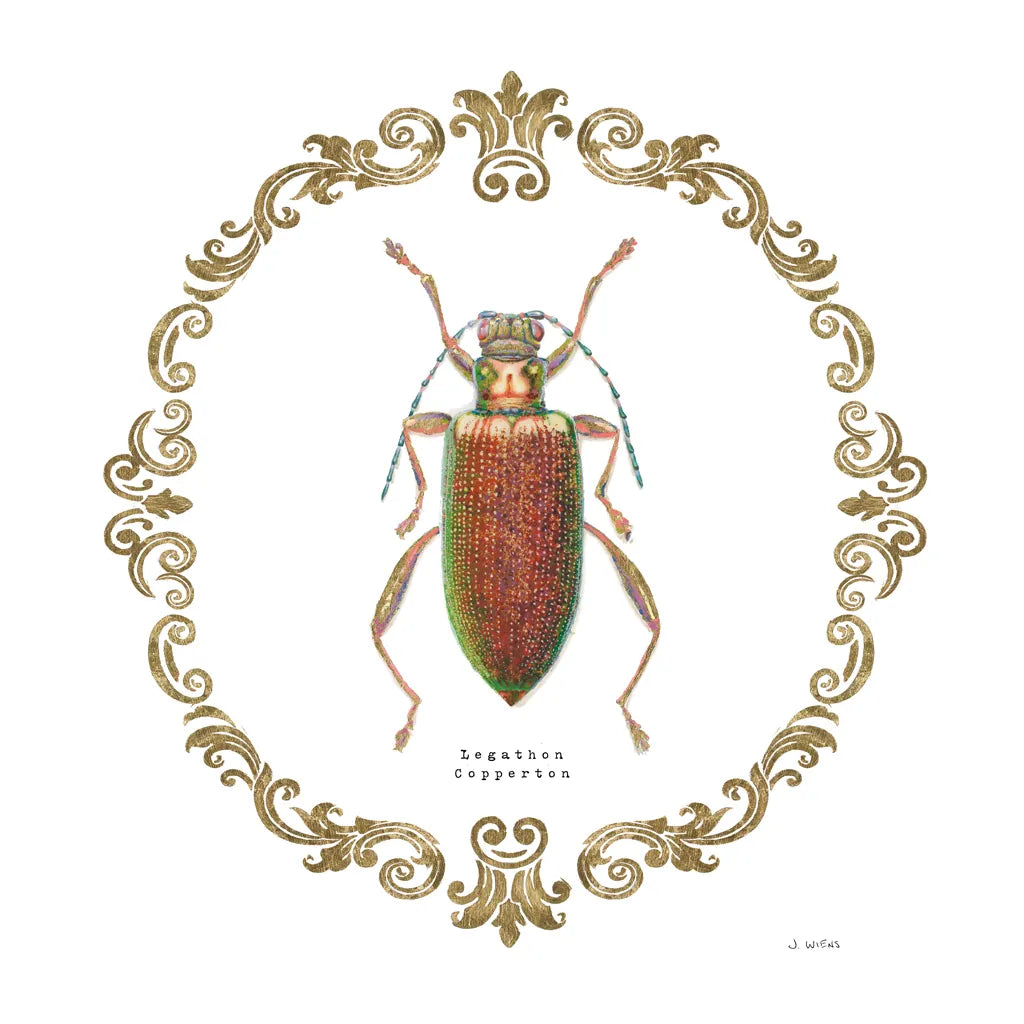 Adorning Coleoptera VI Sq by James Wiens. SKU 38562a. Archival Giclee Fine art print for wall decor.
