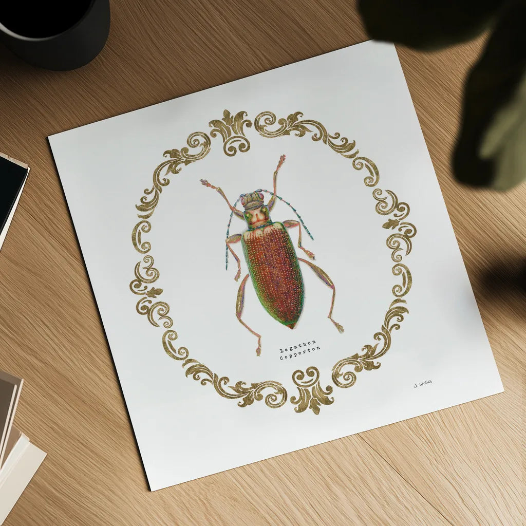 Adorning Coleoptera VI Sq by James Wiens. Shown as a detailed flat fine art print, highlighting archival giclee quality. Available as an archival giclee rolled canvas, fine art paper, or poster print. SKU 38562a.