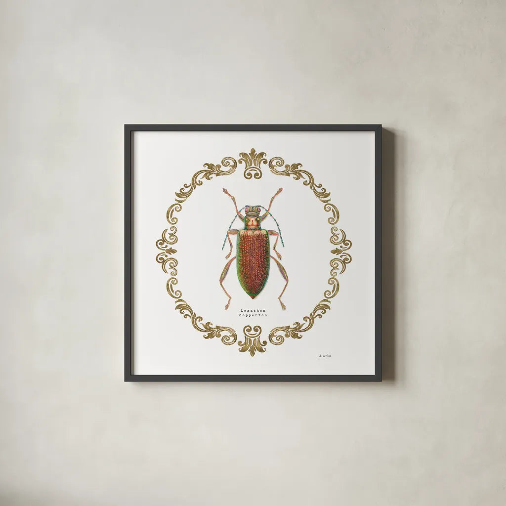 Adorning Coleoptera VI Sq by James Wiens. Shown in a sleek black glass frame for a contemporary gallery look. Available as an archival giclee rolled canvas, fine art paper, or poster print. SKU 38562a.