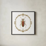 Adorning Coleoptera VI Sq by James Wiens. Shown in a sleek black glass frame for a contemporary gallery look. Available as an archival giclee rolled canvas, fine art paper, or poster print. SKU 38562a.