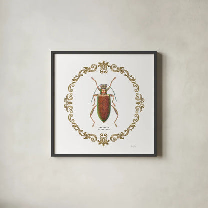 Adorning Coleoptera VI Sq by James Wiens. Shown in a sleek black glass frame for a contemporary gallery look. Available as an archival giclee rolled canvas, fine art paper, or poster print. SKU 38562a.