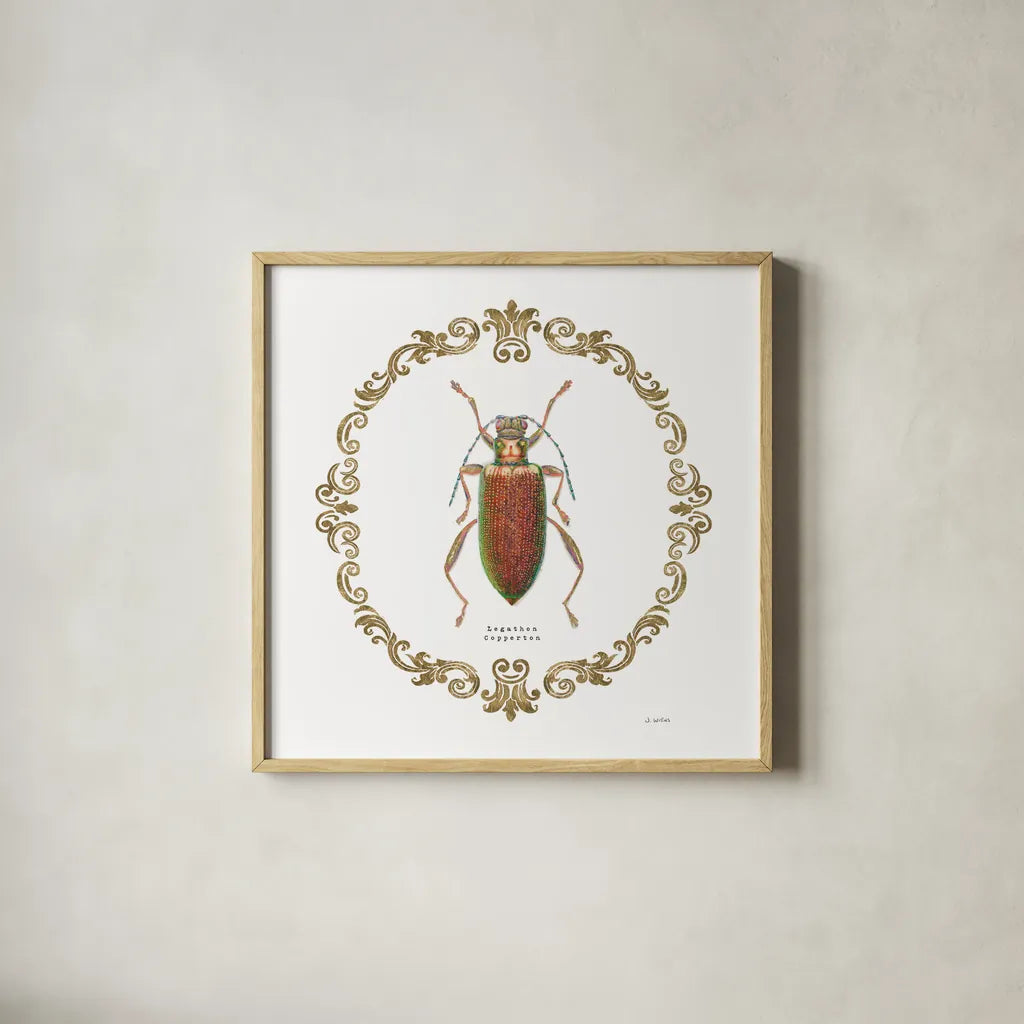 Adorning Coleoptera VI Sq by James Wiens. Shown in a natural wood glass frame for a timeless modern aesthetic. Available as an archival giclee rolled canvas, fine art paper, or poster print. SKU 38562a.