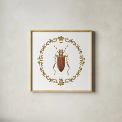 Adorning Coleoptera VI Sq by James Wiens. Shown in a natural wood glass frame for a timeless modern aesthetic. Available as an archival giclee rolled canvas, fine art paper, or poster print. SKU 38562a.