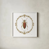 Adorning Coleoptera VI Sq by James Wiens. Shown in a crisp white glass frame for a clean and minimalist style. Available as an archival giclee rolled canvas, fine art paper, or poster print. SKU 38562a.