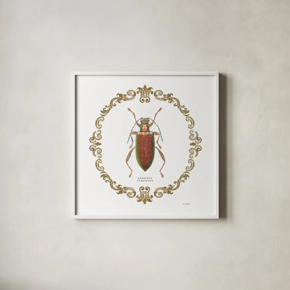 Adorning Coleoptera VI Sq by James Wiens. Shown in a crisp white glass frame for a clean and minimalist style. Available as an archival giclee rolled canvas, fine art paper, or poster print. SKU 38562a.