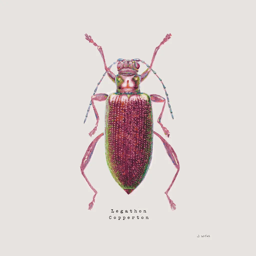 Adorning Coleoptera VI Sq Claret by James Wiens. SKU 42895a. Archival Giclee Fine art print for wall decor.