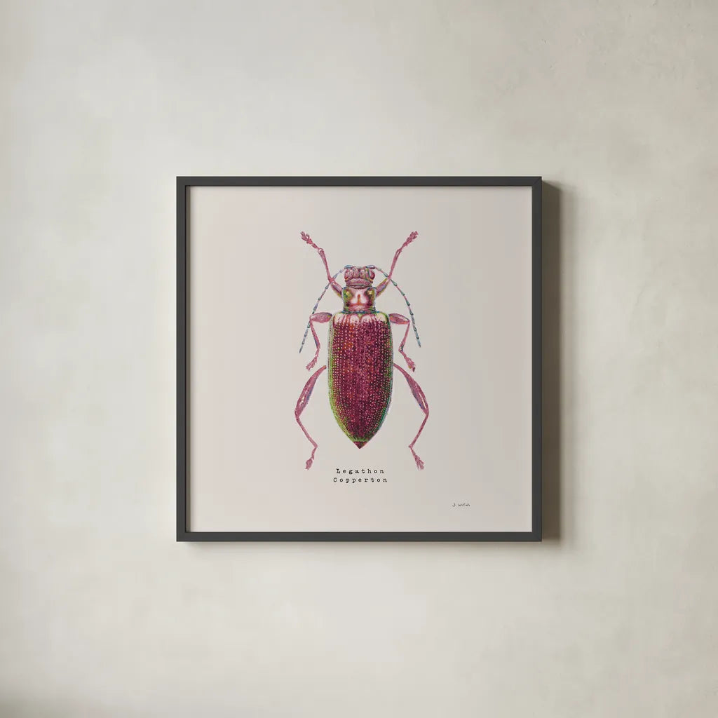 Adorning Coleoptera VI Sq Claret by James Wiens. Shown in a sleek black glass frame for a contemporary gallery look. Available as an archival giclee rolled canvas, fine art paper, or poster print. SKU 42895a.