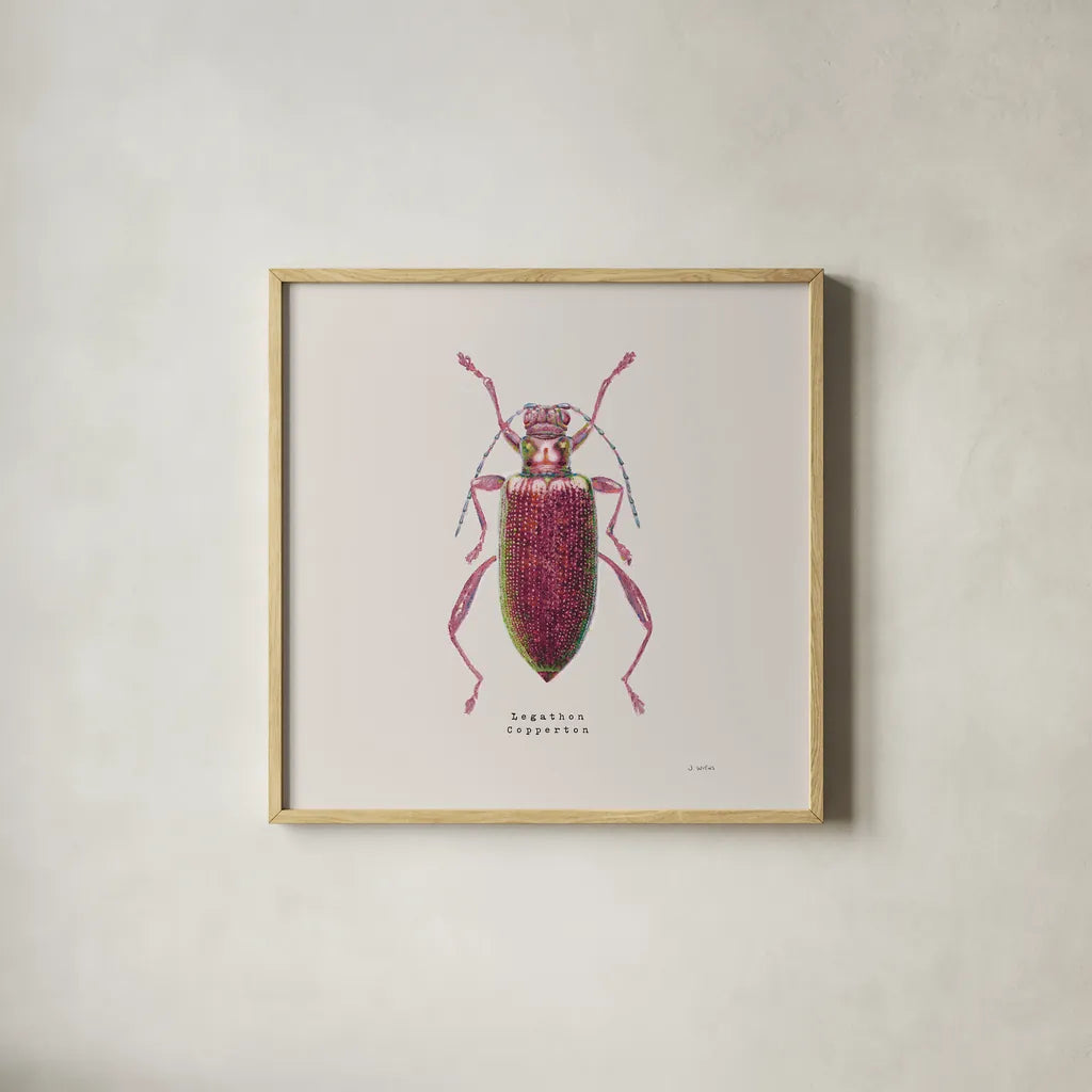 Adorning Coleoptera VI Sq Claret by James Wiens. Shown in a natural wood glass frame for a timeless modern aesthetic. Available as an archival giclee rolled canvas, fine art paper, or poster print. SKU 42895a.