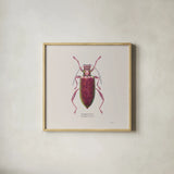 Adorning Coleoptera VI Sq Claret by James Wiens. Shown in a natural wood glass frame for a timeless modern aesthetic. Available as an archival giclee rolled canvas, fine art paper, or poster print. SKU 42895a.