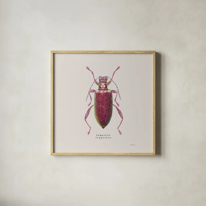 Adorning Coleoptera VI Sq Claret by James Wiens. Shown in a natural wood glass frame for a timeless modern aesthetic. Available as an archival giclee rolled canvas, fine art paper, or poster print. SKU 42895a.