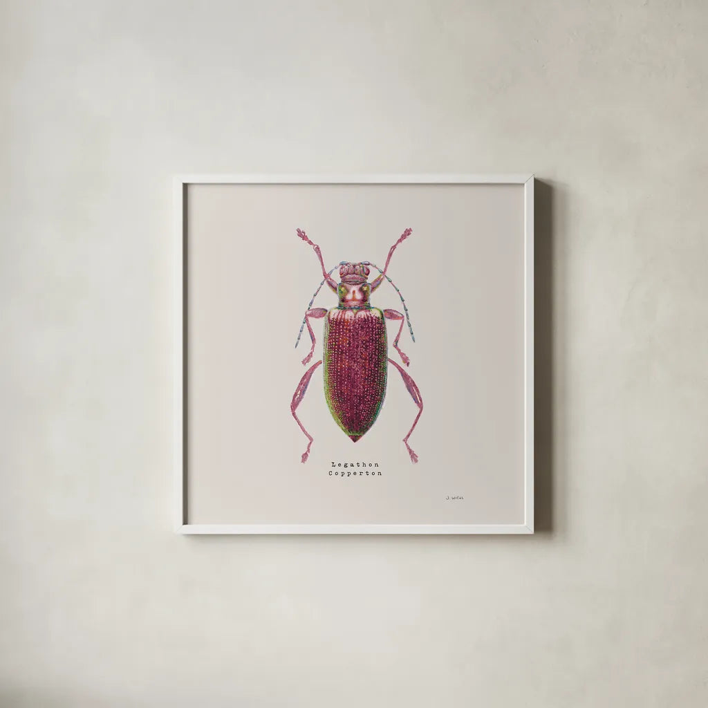 Adorning Coleoptera VI Sq Claret by James Wiens. Shown in a crisp white glass frame for a clean and minimalist style. Available as an archival giclee rolled canvas, fine art paper, or poster print. SKU 42895a.