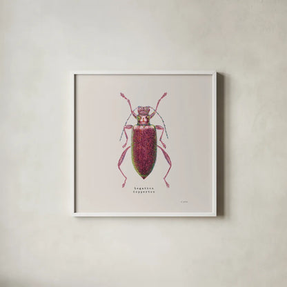 Adorning Coleoptera VI Sq Claret by James Wiens. Shown in a crisp white glass frame for a clean and minimalist style. Available as an archival giclee rolled canvas, fine art paper, or poster print. SKU 42895a.