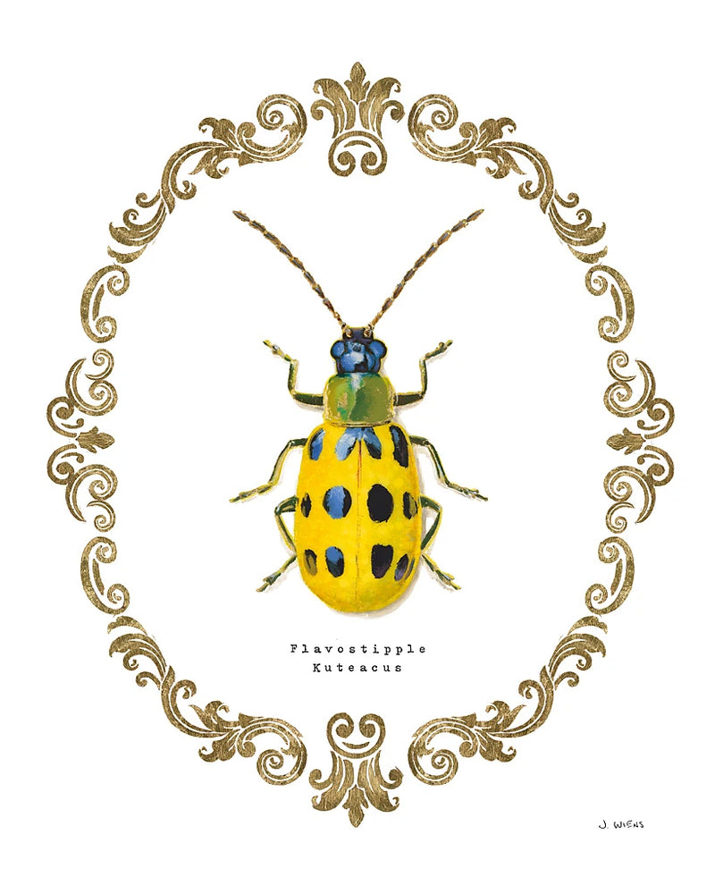 Adorning Coleoptera VII by James Wiens