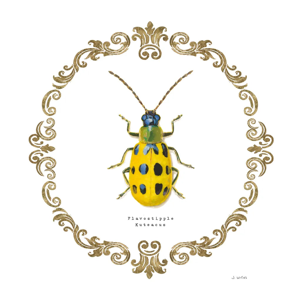 Adorning Coleoptera VII Sq by James Wiens. SKU 38563a. Archival Giclee Fine art print for wall decor.