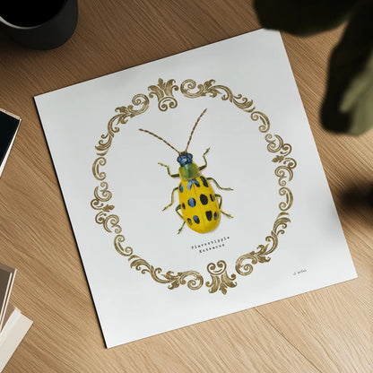 Adorning Coleoptera VII Sq by James Wiens. Shown as a detailed flat fine art print, highlighting archival giclee quality. Available as an archival giclee rolled canvas, fine art paper, or poster print. SKU 38563a.