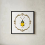 Adorning Coleoptera VII Sq by James Wiens. Shown in a sleek black glass frame for a contemporary gallery look. Available as an archival giclee rolled canvas, fine art paper, or poster print. SKU 38563a.