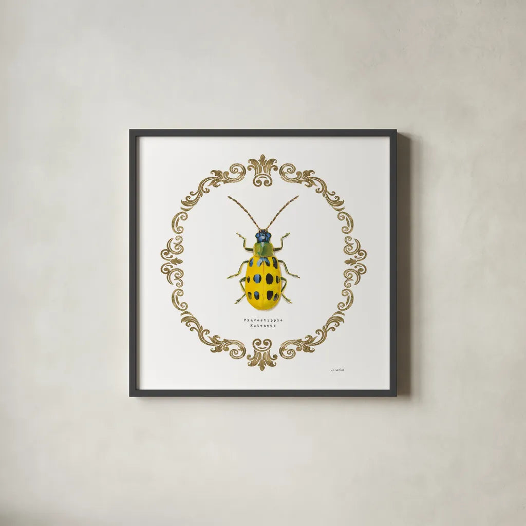 Adorning Coleoptera VII Sq by James Wiens. Shown in a sleek black glass frame for a contemporary gallery look. Available as an archival giclee rolled canvas, fine art paper, or poster print. SKU 38563a.
