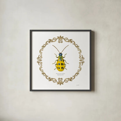Adorning Coleoptera VII Sq by James Wiens. Shown in a sleek black glass frame for a contemporary gallery look. Available as an archival giclee rolled canvas, fine art paper, or poster print. SKU 38563a.