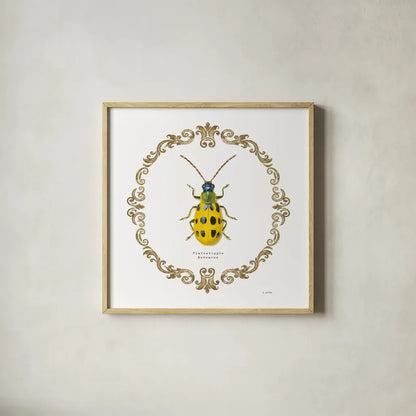 Adorning Coleoptera VII Sq by James Wiens. Shown in a natural wood glass frame for a timeless modern aesthetic. Available as an archival giclee rolled canvas, fine art paper, or poster print. SKU 38563a.