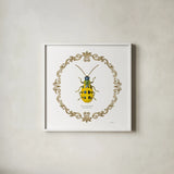 Adorning Coleoptera VII Sq by James Wiens. Shown in a crisp white glass frame for a clean and minimalist style. Available as an archival giclee rolled canvas, fine art paper, or poster print. SKU 38563a.