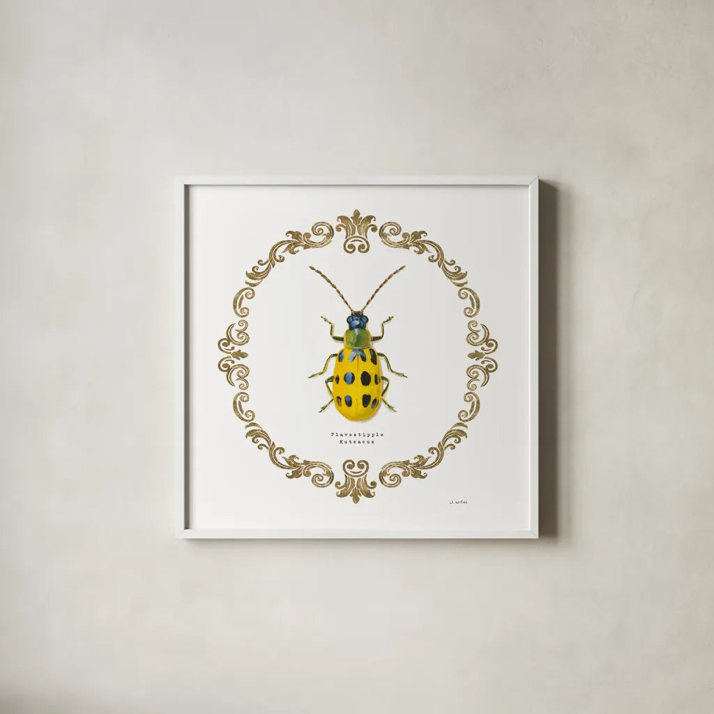Adorning Coleoptera VII Sq by James Wiens. Shown in a crisp white glass frame for a clean and minimalist style. Available as an archival giclee rolled canvas, fine art paper, or poster print. SKU 38563a.