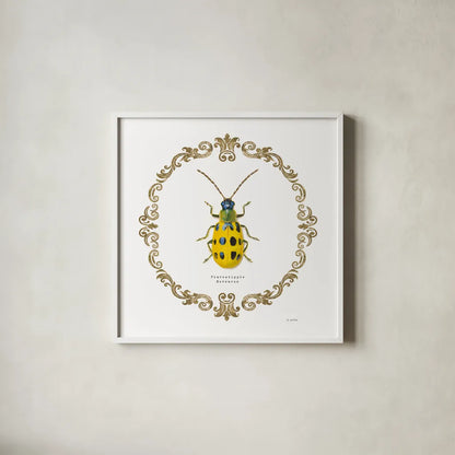 Adorning Coleoptera VII Sq by James Wiens. Shown in a crisp white glass frame for a clean and minimalist style. Available as an archival giclee rolled canvas, fine art paper, or poster print. SKU 38563a.