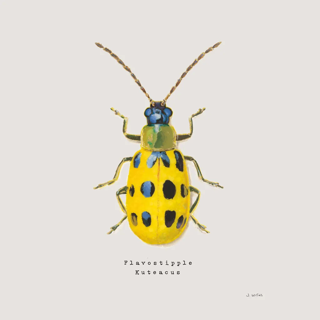 Adorning Coleoptera VII Sq Golden by James Wiens. SKU 42896a. Archival Giclee Fine art print for wall decor.