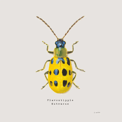 Adorning Coleoptera VII Sq Golden by James Wiens. SKU 42896a. Archival Giclee Fine art print for wall decor.