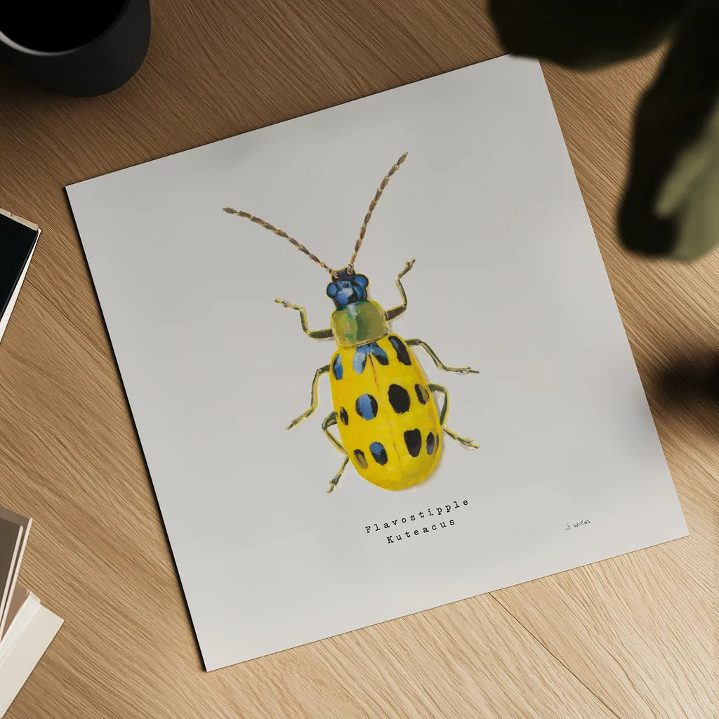 Adorning Coleoptera VII Sq Golden by James Wiens. Shown as a detailed flat fine art print, highlighting archival giclee quality. Available as an archival giclee rolled canvas, fine art paper, or poster print. SKU 42896a.