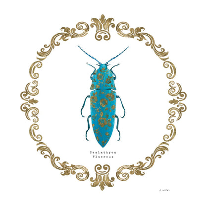 Adorning Coleoptera VIII Sq by James Wiens. SKU 38564a. Archival Giclee Fine art print for wall decor.