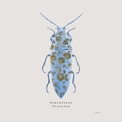 Adorning Coleoptera VIII Sq by James Wiens. SKU 42897a. Archival Giclee Fine art print for wall decor.