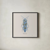 Adorning Coleoptera VIII Sq by James Wiens. Shown in a sleek black glass frame for a contemporary gallery look. Available as an archival giclee rolled canvas, fine art paper, or poster print. SKU 42897a.