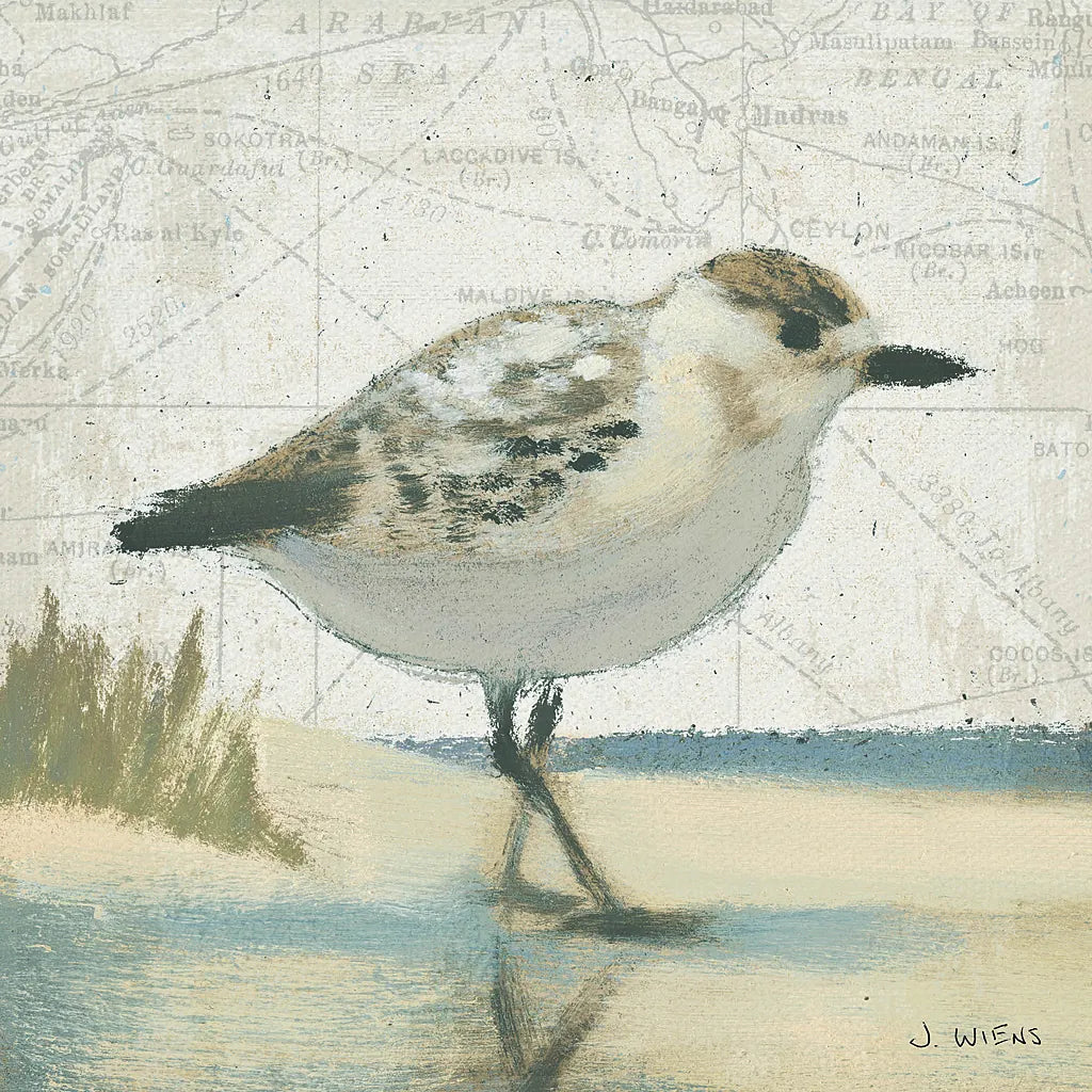 Beach Bird I by James Wiens. SKU 13401a. Archival Giclee Fine art print for wall decor.