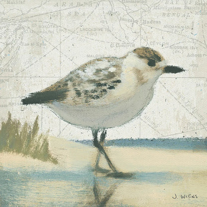 Beach Bird I by James Wiens. SKU 13401a. Archival Giclee Fine art print for wall decor.