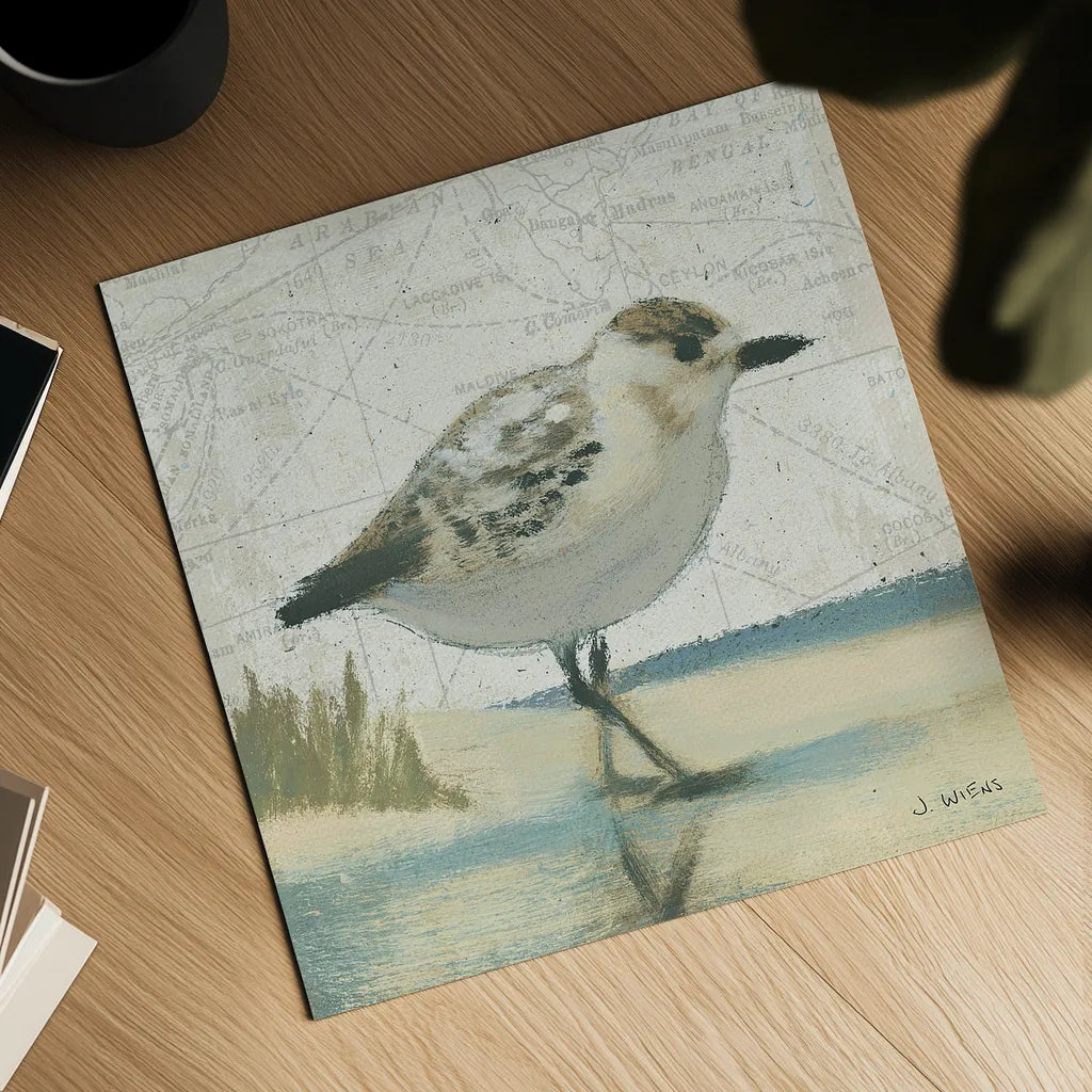 Beach Bird I by James Wiens. Shown as a detailed flat fine art print, highlighting archival giclee quality. Available as an archival giclee rolled canvas, fine art paper, or poster print. SKU 13401a.