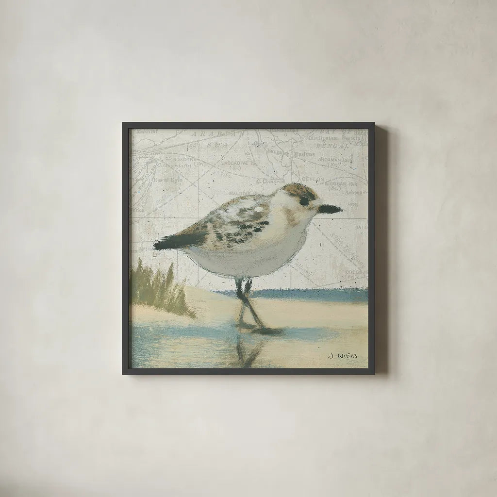 Beach Bird I by James Wiens. Shown in a sleek black glass frame for a contemporary gallery look. Available as an archival giclee rolled canvas, fine art paper, or poster print. SKU 13401a.