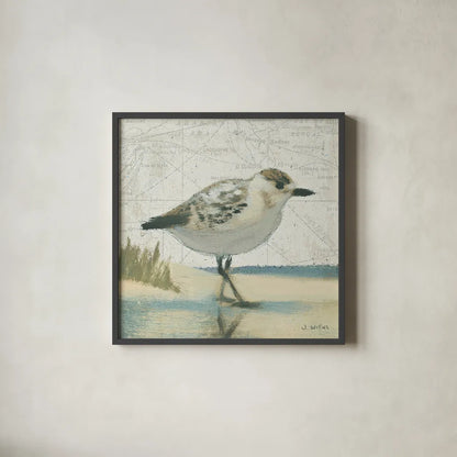 Beach Bird I by James Wiens. Shown in a sleek black glass frame for a contemporary gallery look. Available as an archival giclee rolled canvas, fine art paper, or poster print. SKU 13401a.