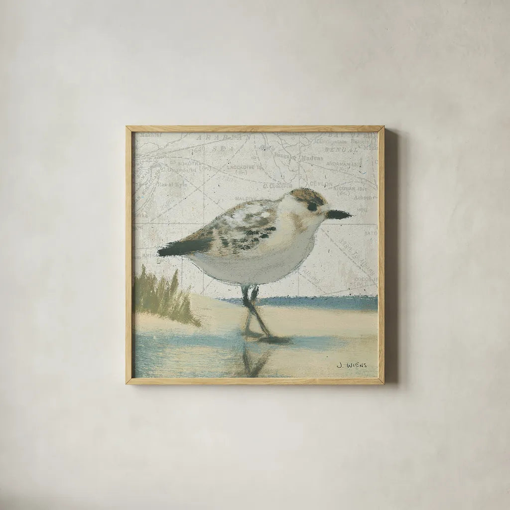 Beach Bird I by James Wiens. Shown in a natural wood glass frame for a timeless modern aesthetic. Available as an archival giclee rolled canvas, fine art paper, or poster print. SKU 13401a.