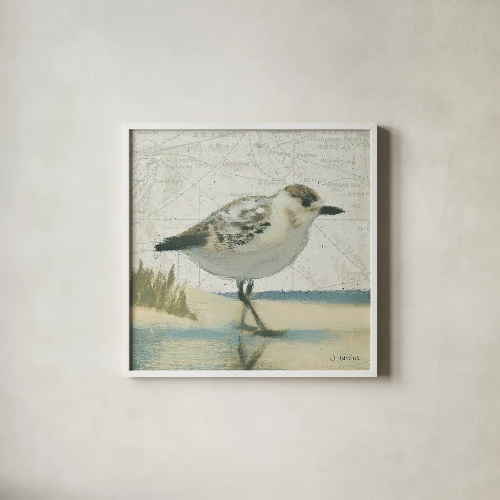 Beach Bird I by James Wiens. Shown in a crisp white glass frame for a clean and minimalist style. Available as an archival giclee rolled canvas, fine art paper, or poster print. SKU 13401a.