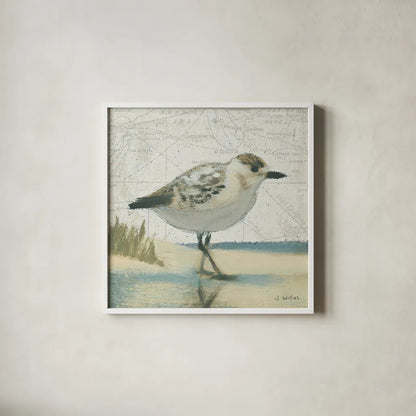 Beach Bird I by James Wiens. Shown in a crisp white glass frame for a clean and minimalist style. Available as an archival giclee rolled canvas, fine art paper, or poster print. SKU 13401a.