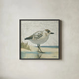 Beach Bird I by James Wiens. Shown in a sleek black glass frame for a contemporary gallery look. Available as an archival giclee rolled canvas, fine art paper, or poster print. SKU 14101a.