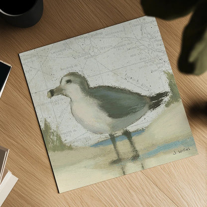 Beach Bird II by James Wiens. Shown as a detailed flat fine art print, highlighting archival giclee quality. Available as an archival giclee rolled canvas, fine art paper, or poster print. SKU 13402a.