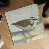 Beach Bird III by James Wiens. Shown as a detailed flat fine art print, highlighting archival giclee quality. Available as an archival giclee rolled canvas, fine art paper, or poster print. SKU 13403a.