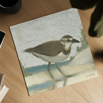 Beach Bird III by James Wiens. Shown as a detailed flat fine art print, highlighting archival giclee quality. Available as an archival giclee rolled canvas, fine art paper, or poster print. SKU 13403a.