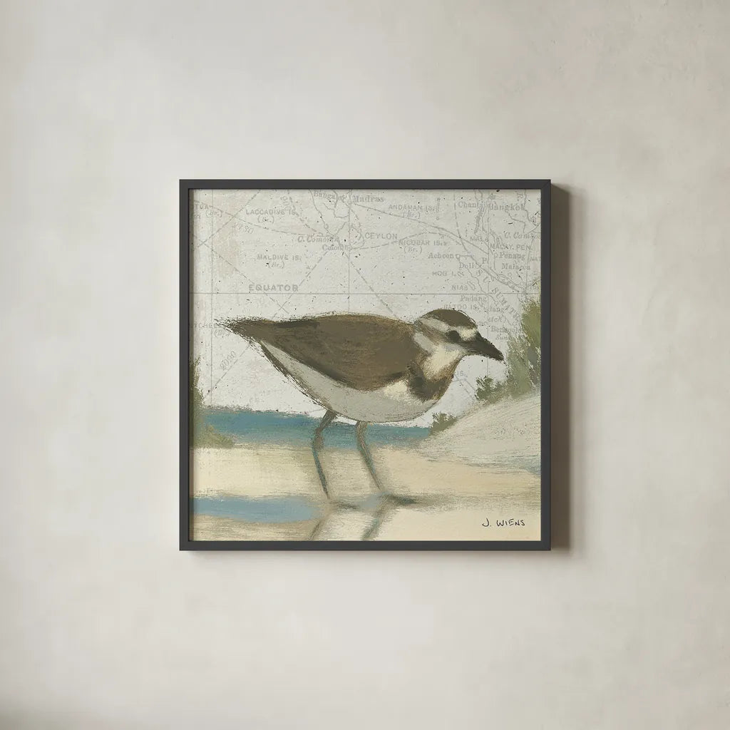 Beach Bird III by James Wiens. Shown in a sleek black glass frame for a contemporary gallery look. Available as an archival giclee rolled canvas, fine art paper, or poster print. SKU 13403a.