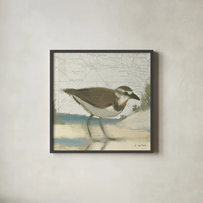 Beach Bird III by James Wiens. Shown in a sleek black glass frame for a contemporary gallery look. Available as an archival giclee rolled canvas, fine art paper, or poster print. SKU 13403a.