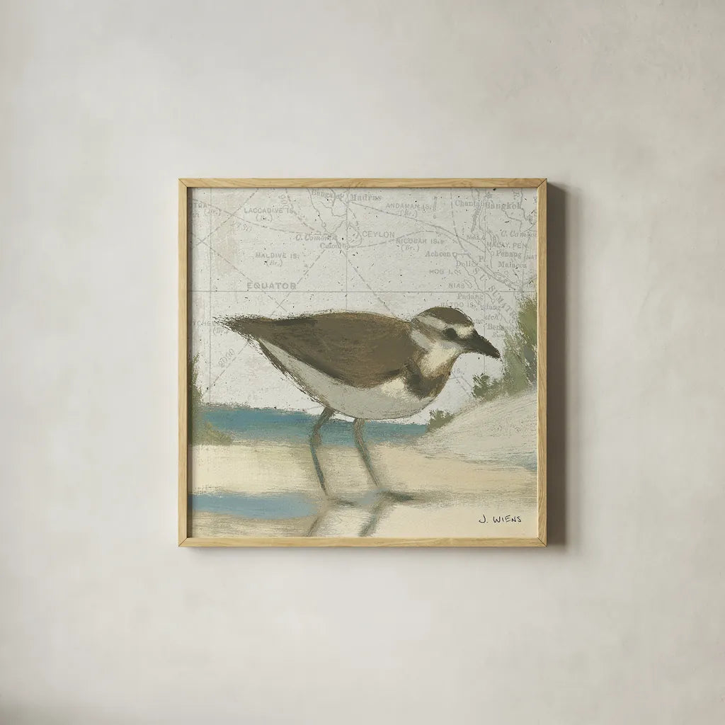 Beach Bird III by James Wiens. Shown in a natural wood glass frame for a timeless modern aesthetic. Available as an archival giclee rolled canvas, fine art paper, or poster print. SKU 13403a.