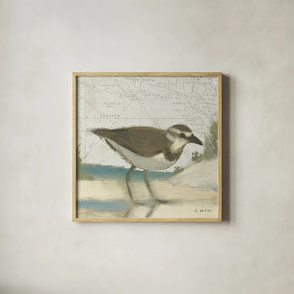 Beach Bird III by James Wiens. Shown in a natural wood glass frame for a timeless modern aesthetic. Available as an archival giclee rolled canvas, fine art paper, or poster print. SKU 13403a.