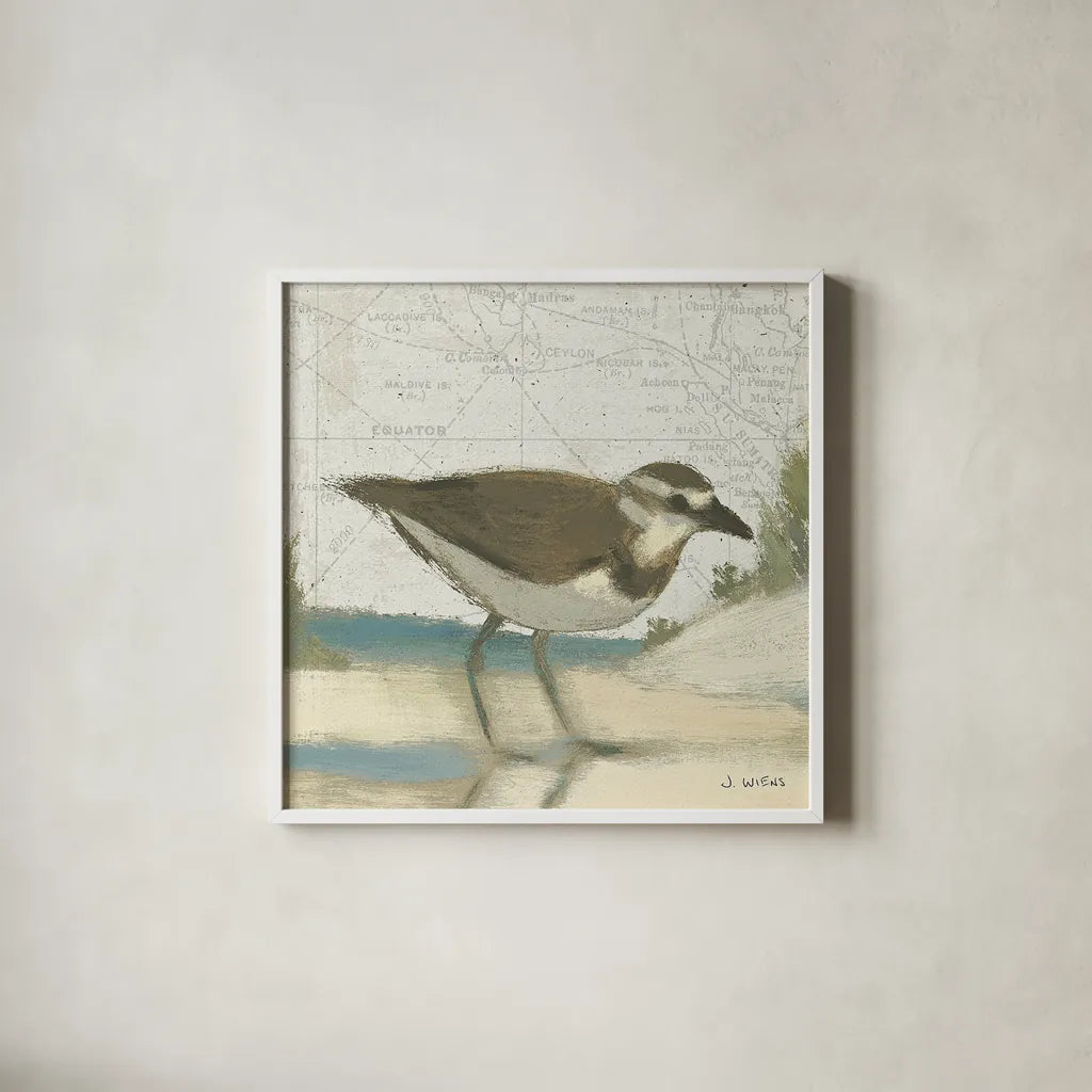 Beach Bird III by James Wiens. Shown in a crisp white glass frame for a clean and minimalist style. Available as an archival giclee rolled canvas, fine art paper, or poster print. SKU 13403a.