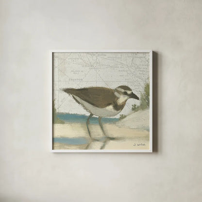Beach Bird III by James Wiens. Shown in a crisp white glass frame for a clean and minimalist style. Available as an archival giclee rolled canvas, fine art paper, or poster print. SKU 13403a.